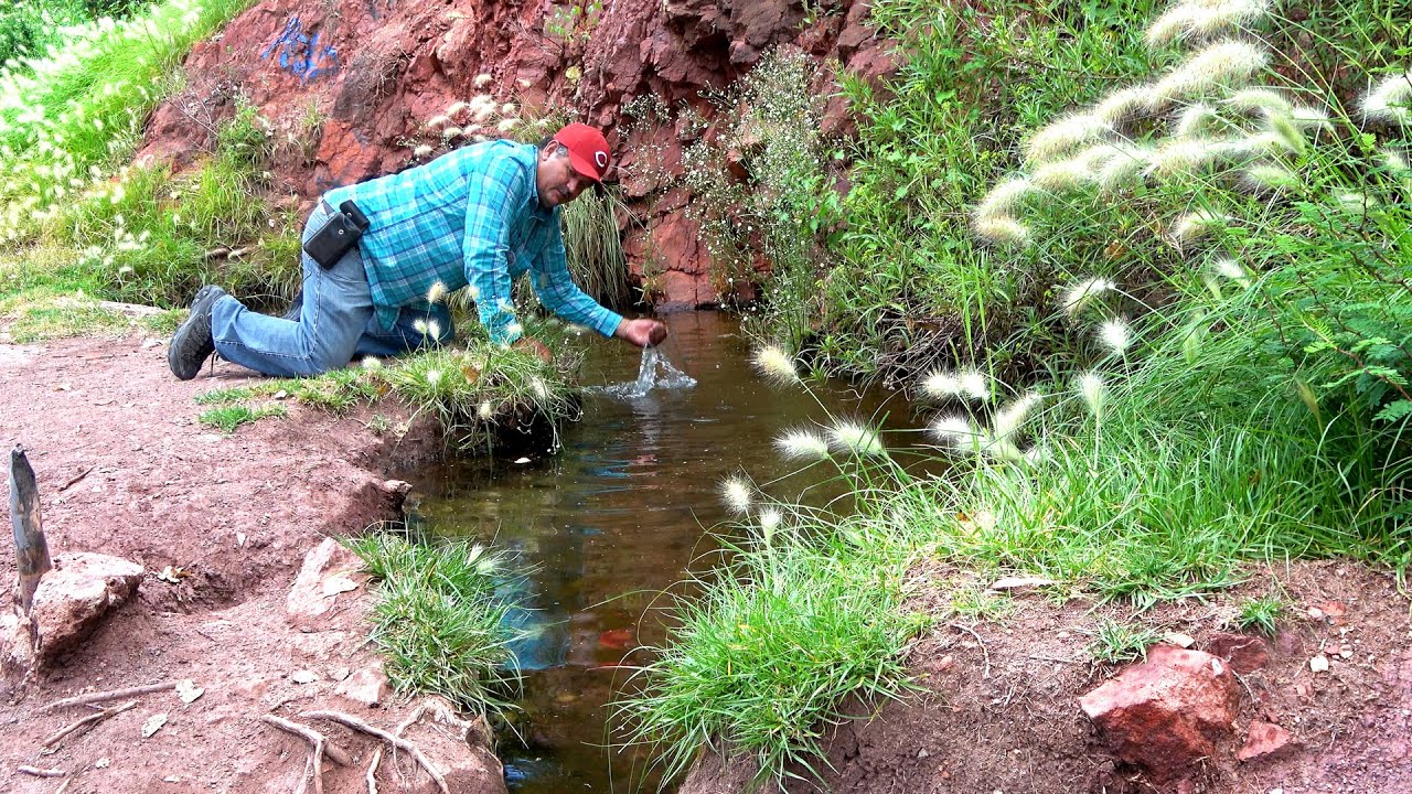 En el DESIERTO esto es una BENDICION