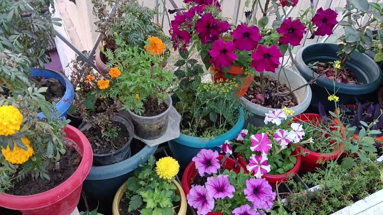 My first vlogging Mai aur meri chhath wali Friend😁😉 #vlog #vlogging #firstvlog #feed #subscribe 