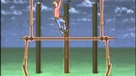 Equal Potential Grounding