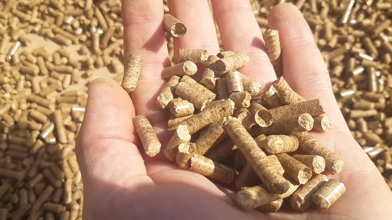 The easy and simple way to make wood pellets at home – Oleomac