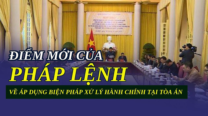 Xử lý vi phạm hành chính la gì