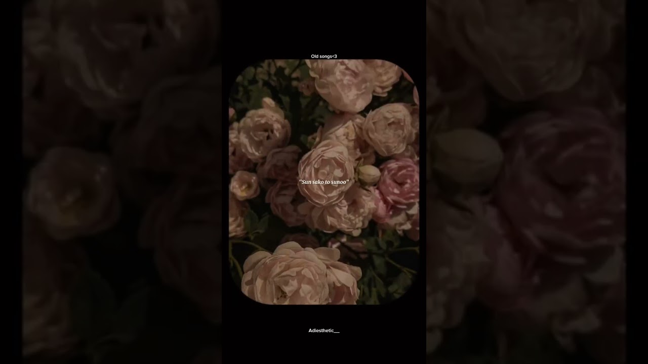 Me yhaan hoon yhaan🥰🥰🤍.                  