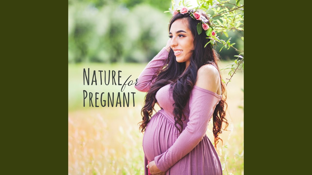Newborn Bird YouTube