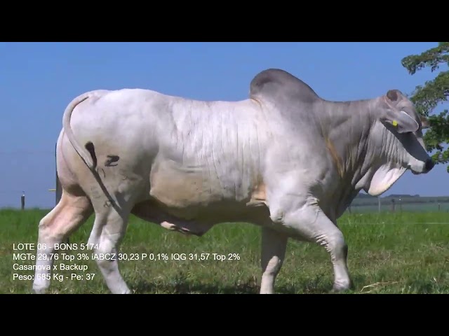 LOTE 06   BONS 5174