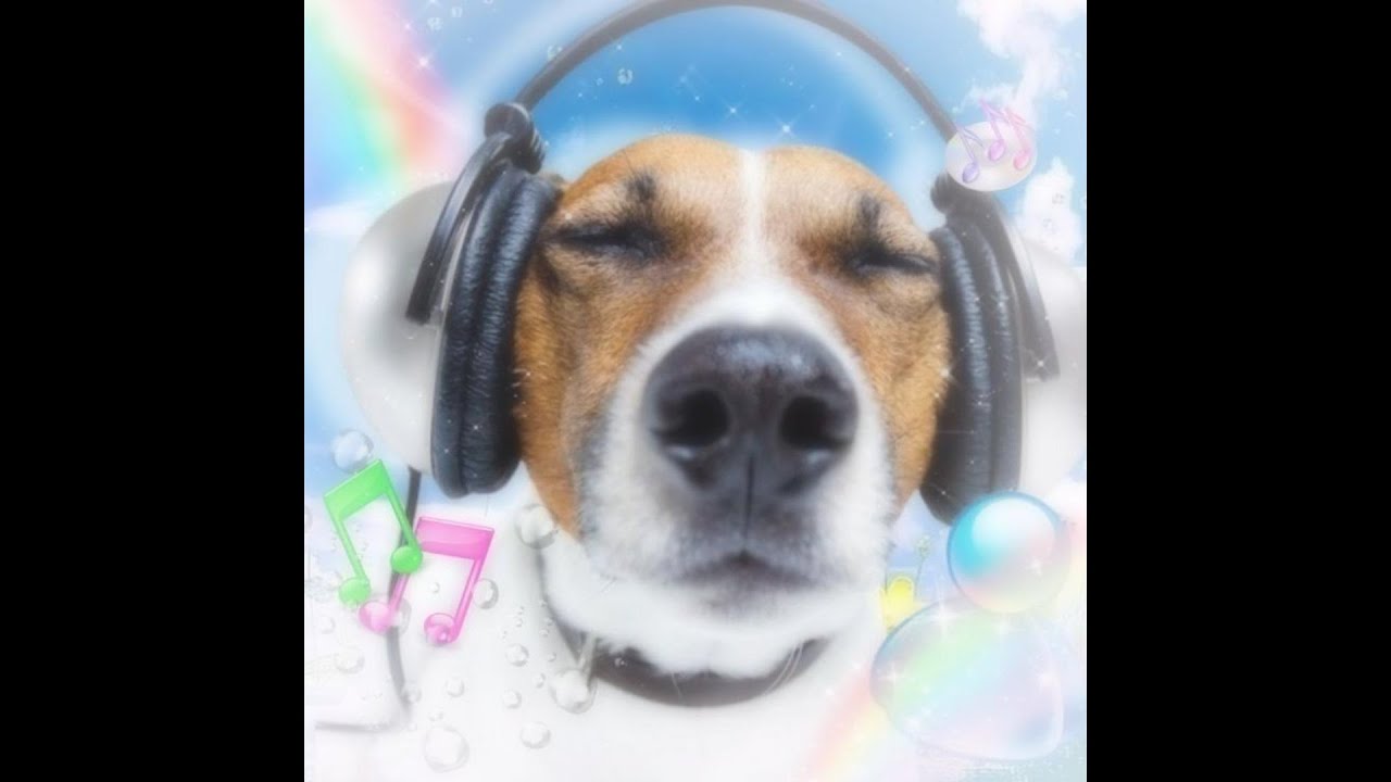 free* ksuuvi x xaviersobased type beat (prod. 5nba)