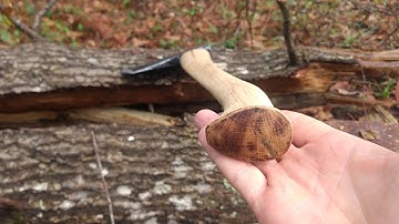 Sater Collared Axe and Finished Handle