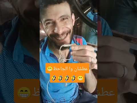 عطشان وحظ اليمن السعودية مصر العراق صنعاء عدن