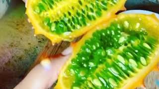Fruit Lesson Horned Melon Kiwano