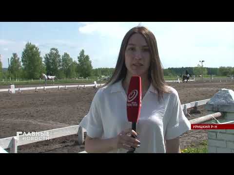 Орловские и курские наездники боролись за кубок Орла по конному спорту.