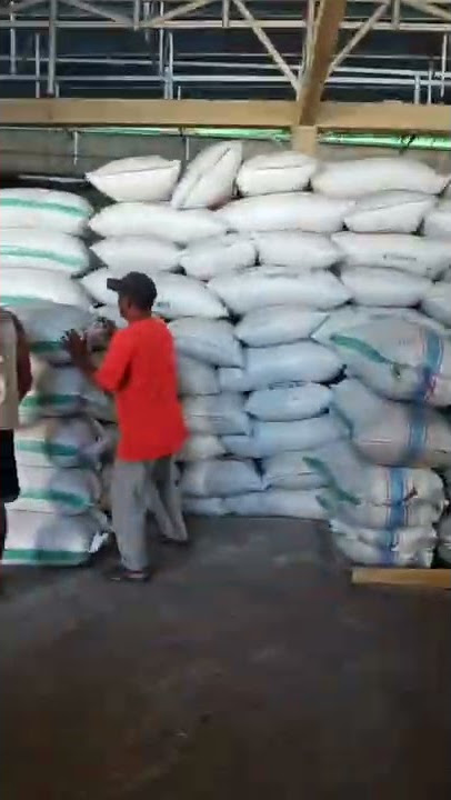 Bongkar jagung rebus campuran utk kopi bubuk