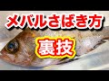 裏技メバルさばき方【締め方煮付け】ちょっと変わったお腹の出し方How to filet Rockfish