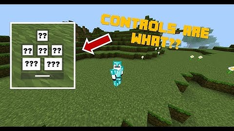 Playing Minecraft but the Controls are Inverted?