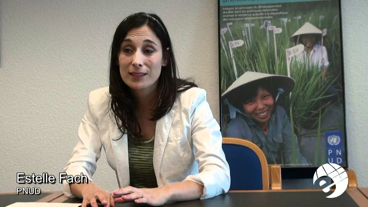 Analyste de programme, Programme des Nations Unies pour le développement (PNUD)