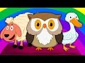 Tiere klingen Song | Tiere für Kinder | Sounds That Animals Make | Animal Sound Song