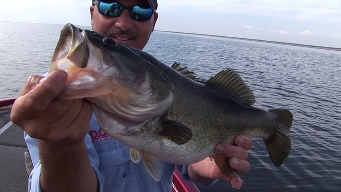 Bass Fishing on Lake Okeechobee: Ultimate Guide for Trophy Catches