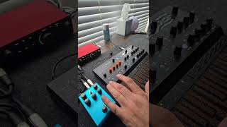 Arturia Microfreak+Superwave+Padhven//Strymon Cloudburst #ambient #film #score #strymon #shorts