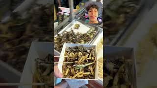 Chat do I gotta go back for the snake #thailandfood #eatingbugs #streetfood #foodchallenge