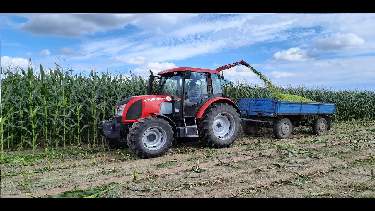 Kiszonka z Kukurydzy 2021 Jednorzędówką Pottinger Mex & ZetorProxima90
