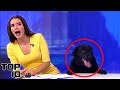 Top 10 Live News Reporting Fails