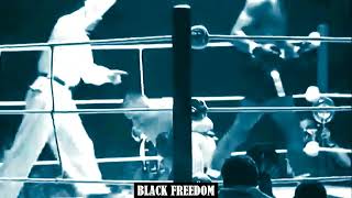 Sugar Ray Robinson Knockouts in Colour HD