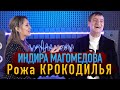 Индира Магомедова (МАГА КАЙФ) - Рожа крокодилья 2022