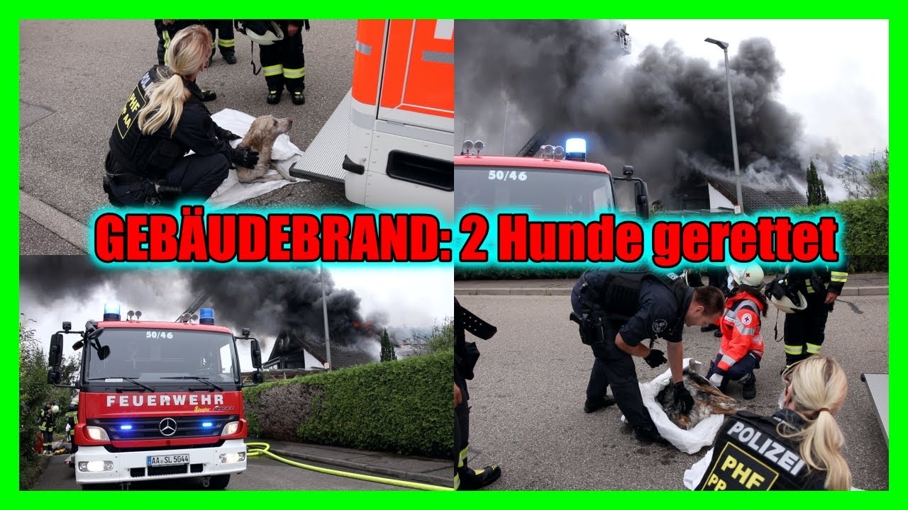 🔥🔥 GEBÄUDEBRAND bei LORCH 🔥🔥🚒 FEUERWEHR 🚒 RETTET 2 HUNDE - [DACH ZÜNDET DURCH = FLAMMEN & RAUCH] [E]