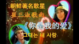 朝鲜歌曲 - 你是我的爱（中文歌词）朝鲜著名歌星崔三淑演唱 조선노래《그대는 내 사랑》 / 朝鲜歌曲 #北韩歌曲 # 朝鲜电影插曲 # 北韩电影插曲