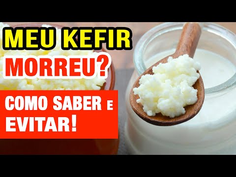 Vídeo: Meu kefir ficou ruim?