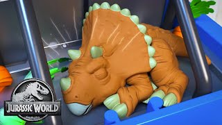Where is the Ankylosaurus Hiding?? | Jurassic World | Kids Adventure Show | Dinosaur Cartoons