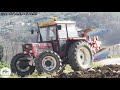 Purosangue italiano   fiatagri 8090 dt  angeloni bpv20 fly