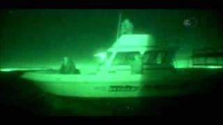 Shark After Dark Great White Attack Profile