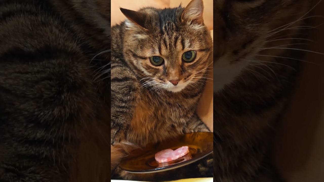 Не обольщайтесь☝️🫢🙀🤣 