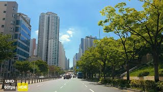 Busan City Drive | UHD HDR 60fps | 부산 도심 드라이브 힐링 | Soft Lofi Vibes | 釜山・都市ドライブ 癒し | 韓国旅行 screenshot 2