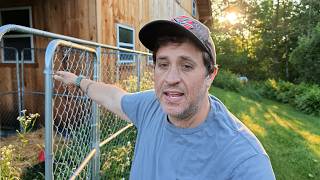 Why I Released My Ducks