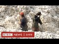 신장 위구르: 중국, 신장서 강제노역으로 면화를 생산했다는 새 증거가 나왔다 - BBC News 코리아