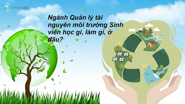 Quản lý trường học là gì năm 2024