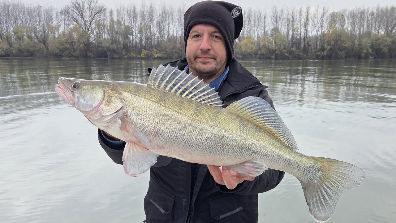 Najveći Smuđ Ove Sezone. Pecanje Smuđa