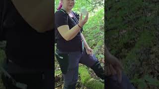 Keine Zeit fürs Hobby? Geocaching macht Spass! #citiontour #natur #schatzsuche