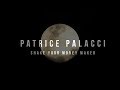 Patrice Palacci Shake Your Money Maker mp3