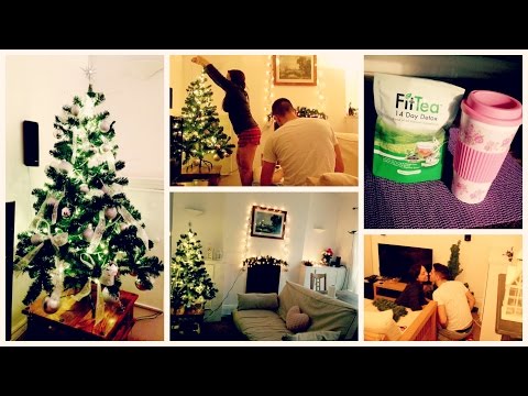 FACCIAMO L'ALBERO INSIEME ! - Vlog 29 Novembre 214