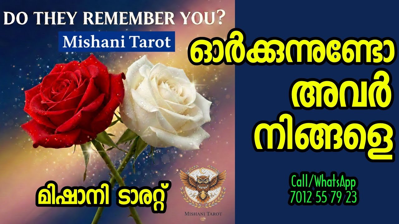 🌟✨ ഇത് കർമ്മയാണോ ✨🌟