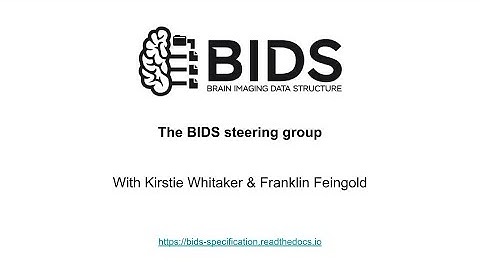 What is the BIDS steering group?