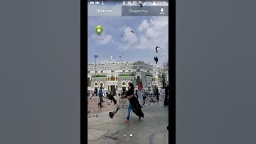 Демонстрация работы библиотеки Picasso