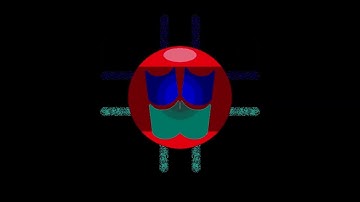 All Windows Animations From MS Paint in G-Major 4 + Slow Voice