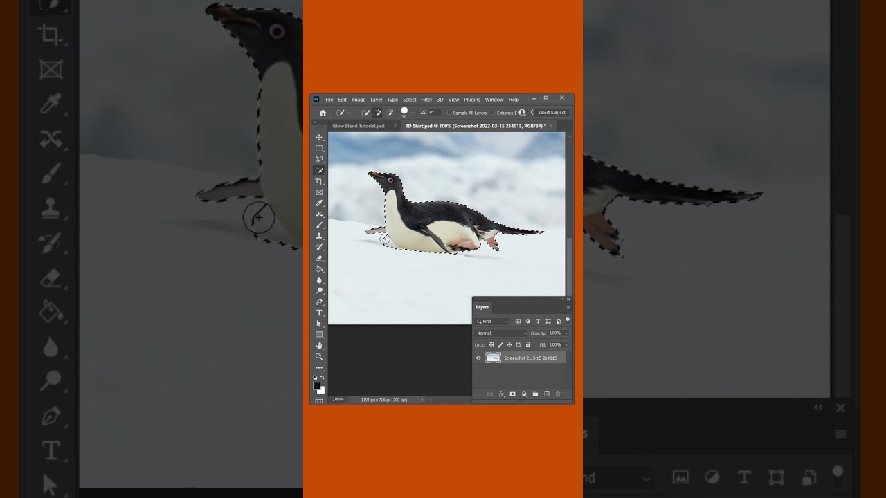 Move Objects Within Images in Adobe Photoshop