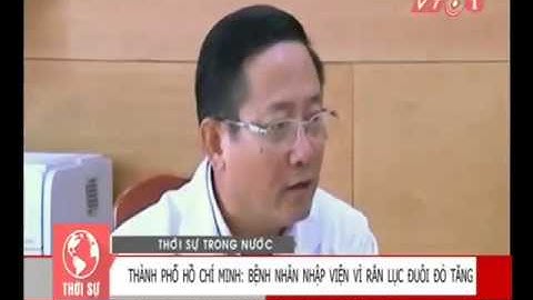 Rắn lục đuôi đỏ tấn công hàng loạt ở TP.HCM