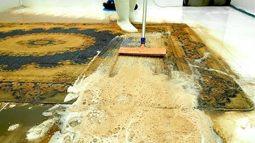 From Trash to Treasure: Shocking Carpet Cleaning You Won’t Believe - Carpet Cleaning ASMR