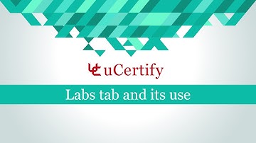 Labs tab and its use