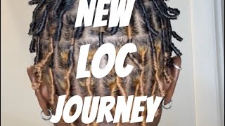 Hair vlog// come with me to get starter locs