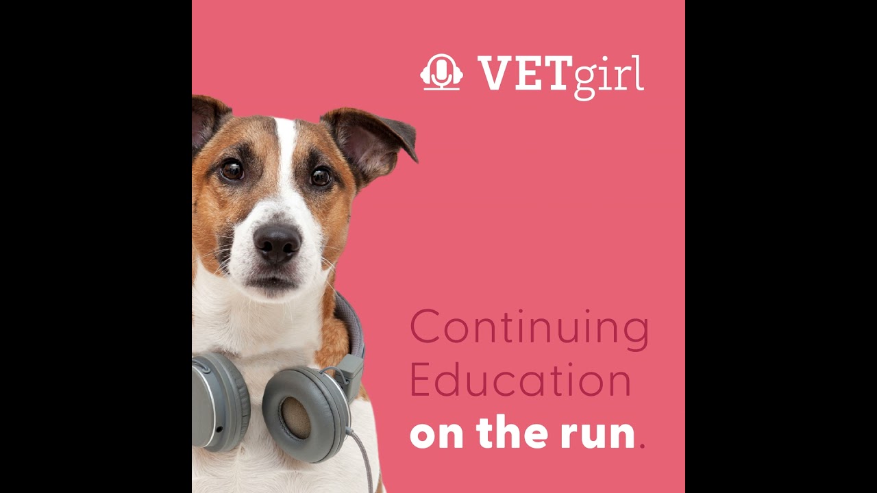 Obesity andamp; Comorbidities in Cats and How to Manage Them with Dr. Donna M. Raditic, DACVIM (N...